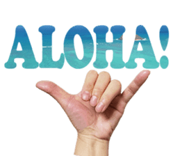 I LOVE HAWAII2 sticker #15055198