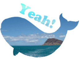 I LOVE HAWAII2 sticker #15055200