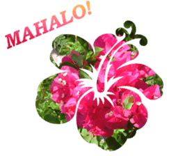 I LOVE HAWAII2 sticker #15055205