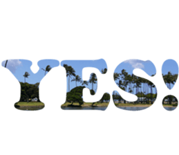 I LOVE HAWAII2 sticker #15055209