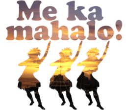 I LOVE HAWAII2 sticker #15055218