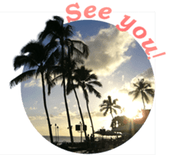 I LOVE HAWAII2 sticker #15055219