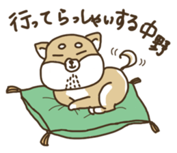 Shiba-dog,NAKANO sticker #15057263