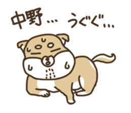 Shiba-dog,NAKANO sticker #15057265