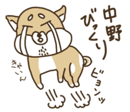 Shiba-dog,NAKANO sticker #15057270