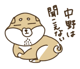 Shiba-dog,NAKANO sticker #15057271