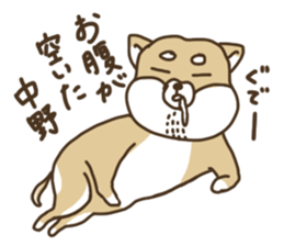 Shiba-dog,NAKANO sticker #15057273
