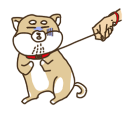 Shiba-dog,NAKANO sticker #15057282