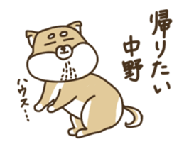 Shiba-dog,NAKANO sticker #15057289