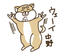 Shiba-dog,NAKANO sticker #15057298