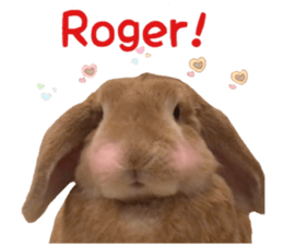 Bunny Hollandlop Daichan English Ver. sticker #15057548