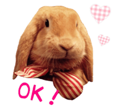 Bunny Hollandlop Daichan English Ver. sticker #15057549