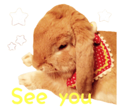 Bunny Hollandlop Daichan English Ver. sticker #15057550