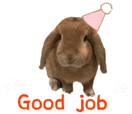 Bunny Hollandlop Daichan English Ver. sticker #15057557