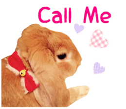 Bunny Hollandlop Daichan English Ver. sticker #15057560