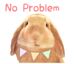 Bunny Hollandlop Daichan English Ver. sticker #15057563