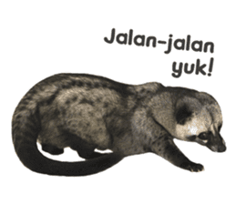 Mumu the Cute Asian Palm Civet 3 sticker #15057756