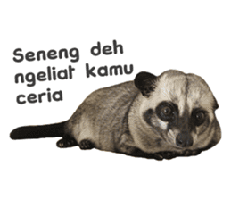 Mumu the Cute Asian Palm Civet 3 sticker #15057759