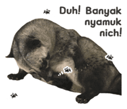 Mumu the Cute Asian Palm Civet 3 sticker #15057764