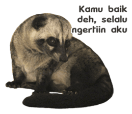 Mumu the Cute Asian Palm Civet 3 sticker #15057765