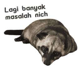 Mumu the Cute Asian Palm Civet 3 sticker #15057769