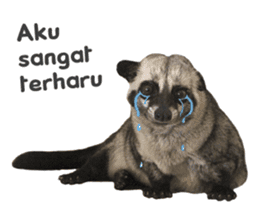 Mumu the Cute Asian Palm Civet 3 sticker #15057771