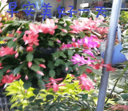 However, Park sticker #15057844