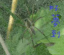 However, Park sticker #15057846