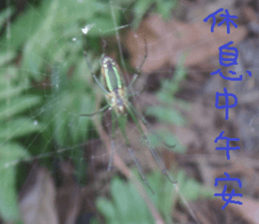 However, Park sticker #15057847