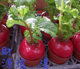 However, Park sticker #15057851