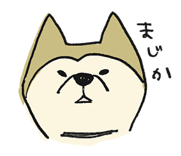 Akita-dog Sticker2 sticker #15058342