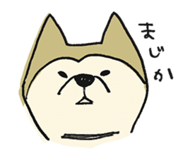Akita-dog Sticker2 sticker #15058342
