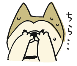 Akita-dog Sticker2 sticker #15058351