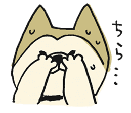Akita-dog Sticker2 sticker #15058351