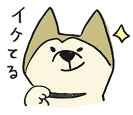 Akita-dog Sticker2 sticker #15058358