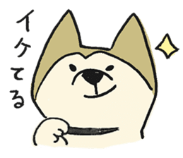 Akita-dog Sticker2 sticker #15058358