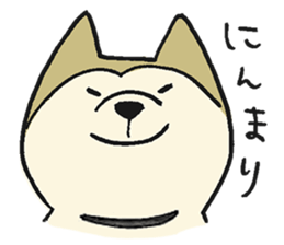 Akita-dog Sticker2 sticker #15058361
