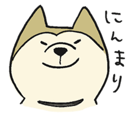 Akita-dog Sticker2 sticker #15058361