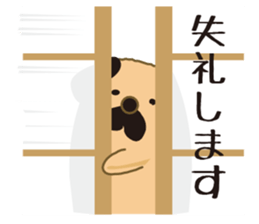 An old dog sticker #15058574