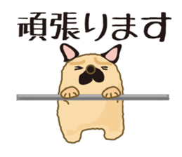 An old dog sticker #15058586