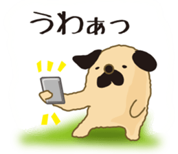 An old dog sticker #15058591