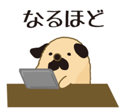 An old dog sticker #15058592