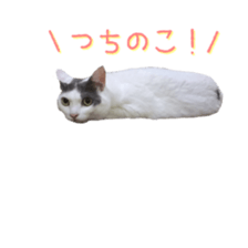 Milk Coffee sticker #15058660