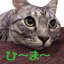 Milk Coffee sticker #15058662