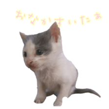 Milk Coffee sticker #15058663