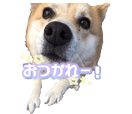 Milk Coffee sticker #15058664