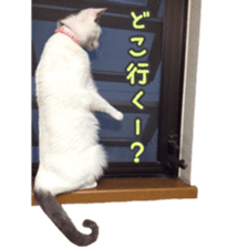 Milk Coffee sticker #15058672