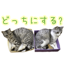 Milk Coffee sticker #15058673