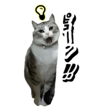 Milk Coffee sticker #15058674