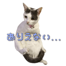 Milk Coffee sticker #15058675